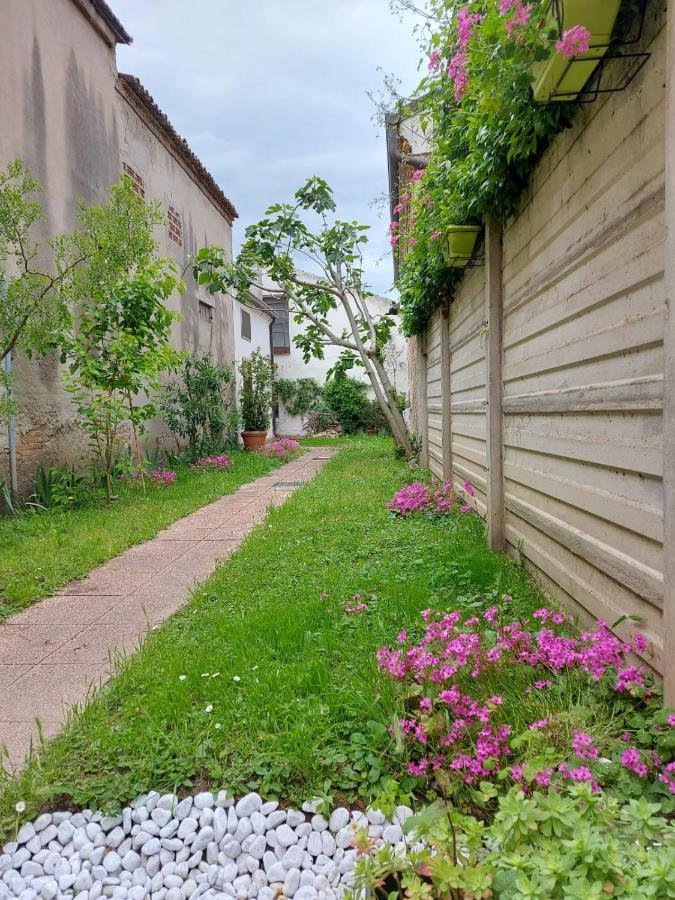 Un Po Sul Delta Villa Ariano nel Polesine Bagian luar foto